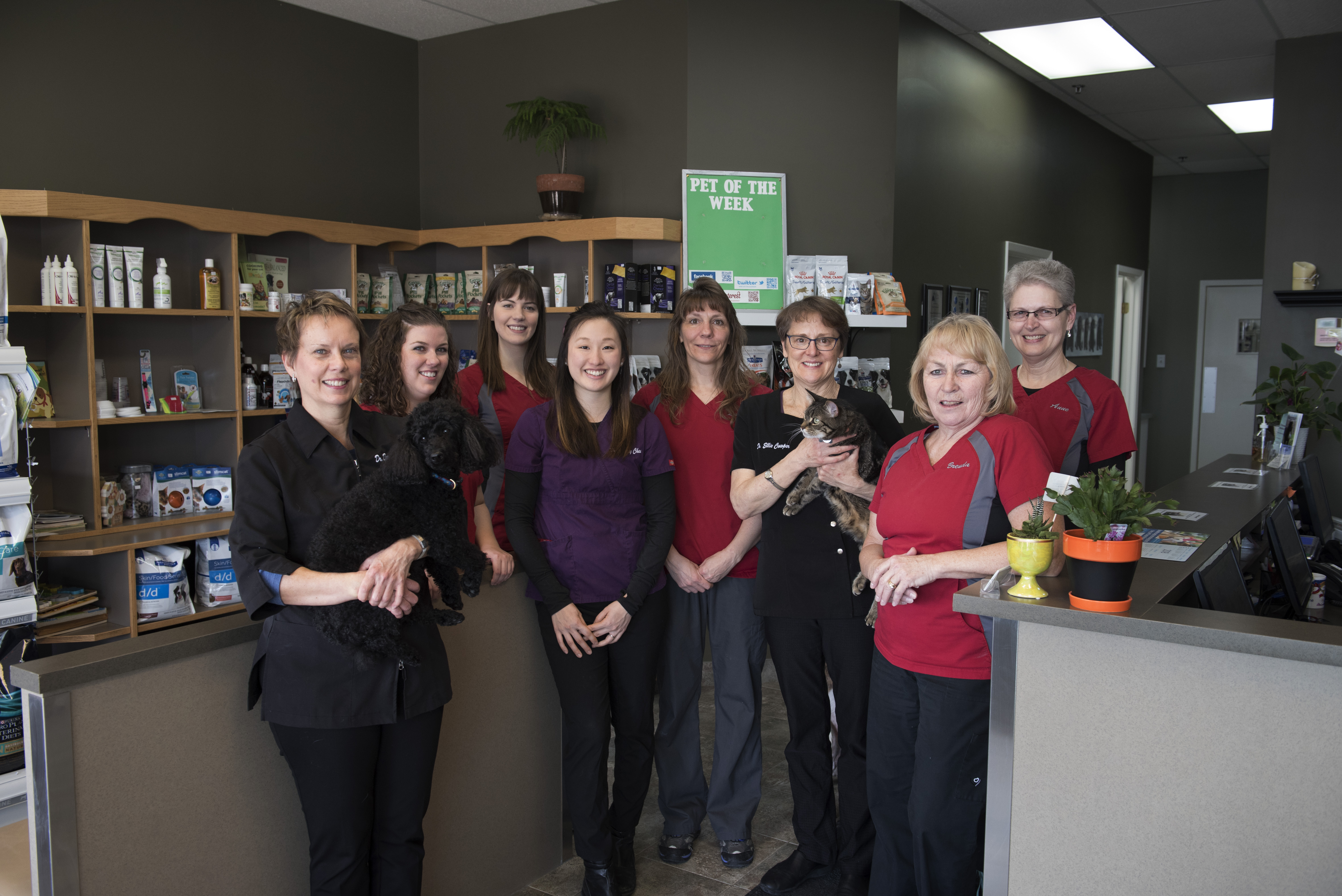 Staff | Veterinarian in Kitchener, ON | Chicopee Hills Animal Hospital