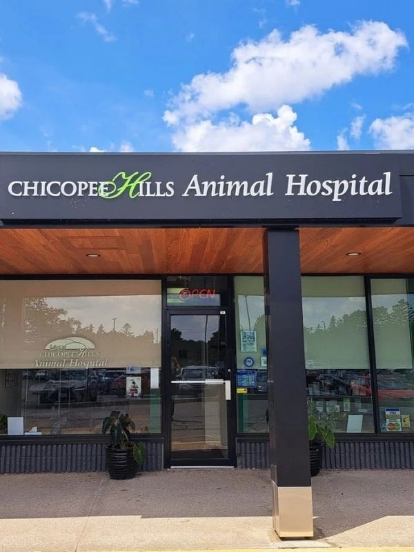 Front of the clinic