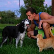 A man kisses a black and white dog while an orange cat stands nearby on a grassy area with trees in the background.