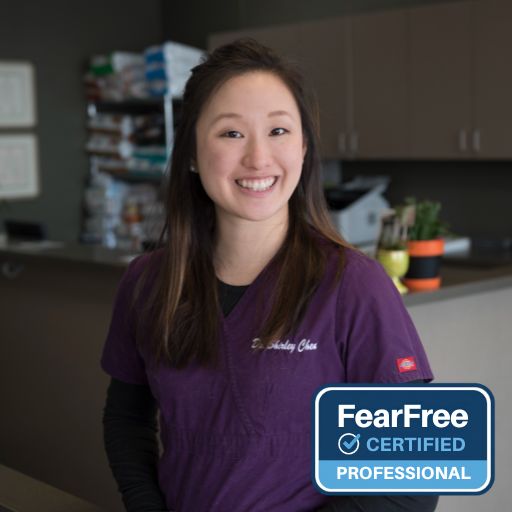 Dr. Shirley Chen