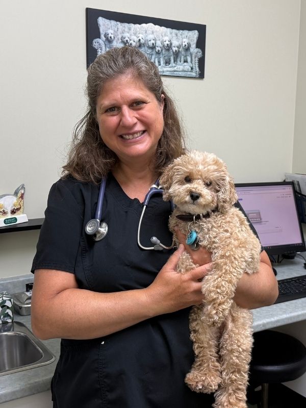 Veterinary exam room with a clinician smiling while holding a small tan curly-haired dog, with sinks, bottles, and medical equipment on the counter and computer monitors in the background.
